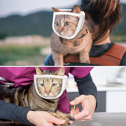 Breathable Kitten Headgear Clear Pet Mask Dog Anti Bite Scratch Protective Gear