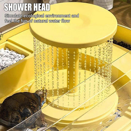 Small Turtle Feeding Tank Basin Aquarium Feeding Box for Turtles Reptiles