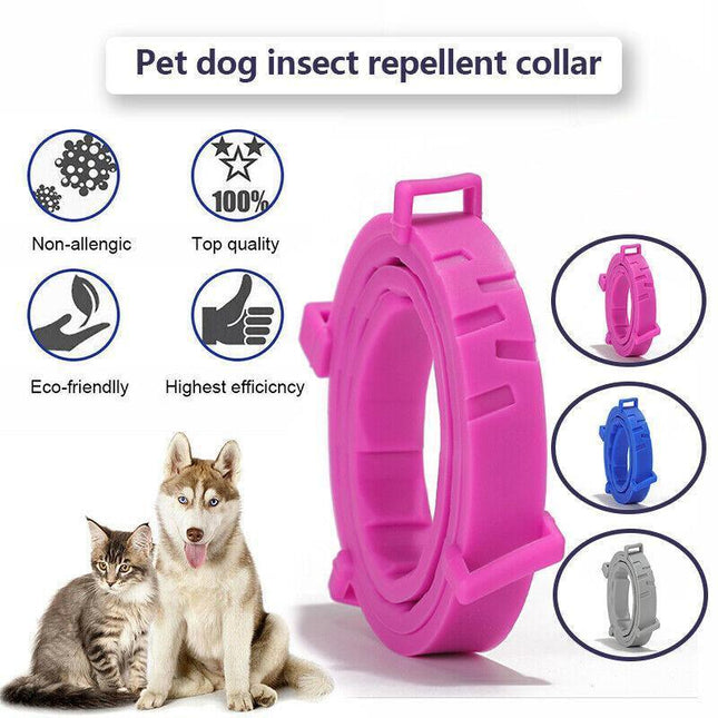 Short Adjustable Pet Anti Flea Tick Neck Collar For Dog Cat Kitten 8 Months Protect - Aimall