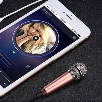 Mini Microphone Portable Vocal Instrument Mic for Mobile Phone Laptop Notebook - Aimall