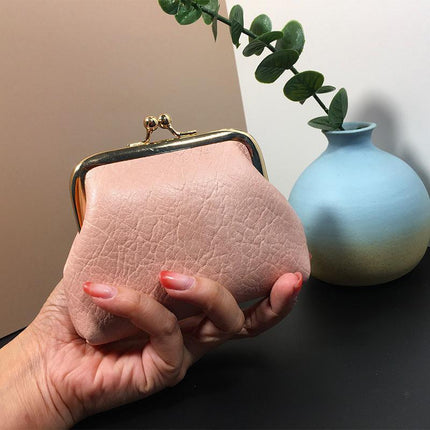 Women's Leather Small Cosmetic Bag Coin Purse & Lipstick Change Storage Bags - Aimall