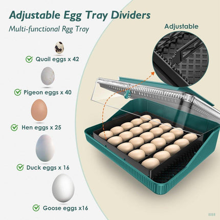 Fully Automatic Egg Incubator New 25 Capacity LED Display for Hen Duck Quail