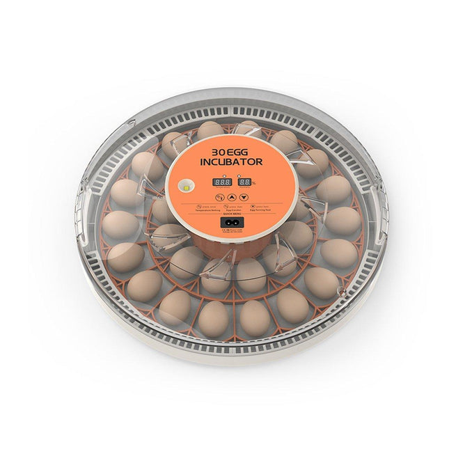 30 Egg Incubator Automatic Hatching Machine Home Use Small Poultry Eggs Flipper