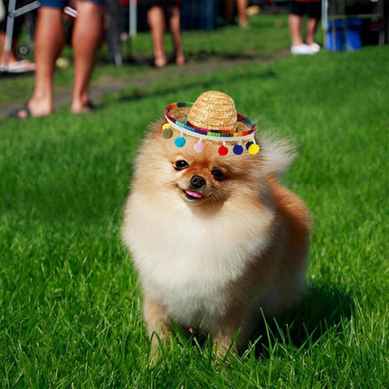 2pcs Striped Triangle Scarf Colourful Hairball Pet Straw Hat Scarf Set for Pets