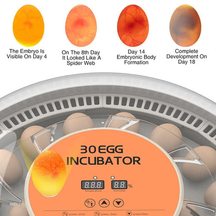 30 Egg Incubator Automatic Hatching Machine Home Use Small Poultry Eggs Flipper