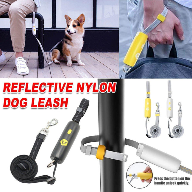 Nylon Leash for Small Medium Dogs Durable Adjustable Walking Lead Strap