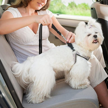 Elastic Headset Car Dog Seat Belt Safety Vehicle Lead Leash Harness Clip Adjust - Aimall