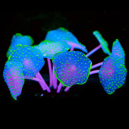 Silicone Artificial Aquarium Plants Underwater Fish Tank Decoration Decor Set