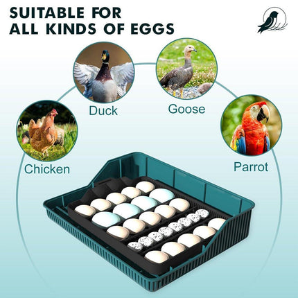 Fully Automatic Egg Incubator New 25 Capacity LED Display for Hen Duck Quail