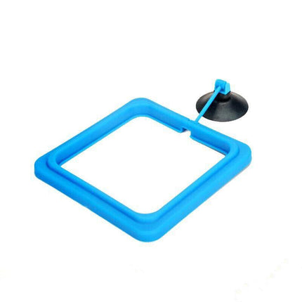 Fish Feeding Ring Aquarium Fish Tank Feeder Floating Fish Food Feeder Fish Food Blue - Aimall