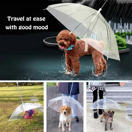 Pet Dog Transparent Umbrella 30 inch Diameter With Dog Leash For Rain Walking Outdoor