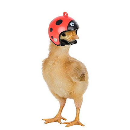 2PCS Mini Pet Chicken Helmet Protective Headgear Set Waterproof Cartoon Design