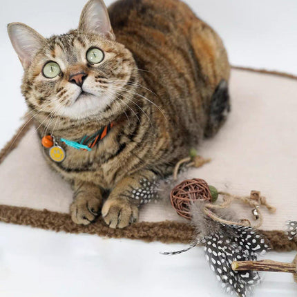 Cat Toys Teaser Stick Chewing Teeth Cleaning Grinding Pet Play Stick for Cats