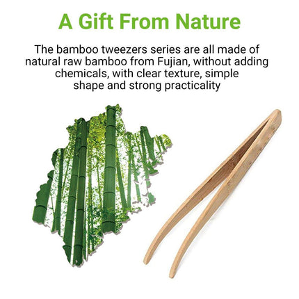 Bamboo Feeding Tools for Pets Crawler Accessory Durable