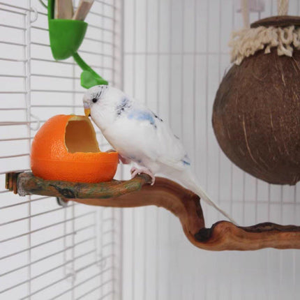 Parrot Feeding Bowl Fruit Shaped Water Food Container Dish Cage Bird Feeder Cup - Aimall