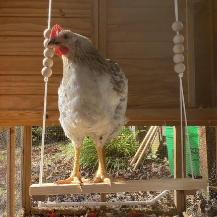 Chicken Hen Rooster Pet Swing Hanging Suspension Bridge Poultry Coop Toy Fun