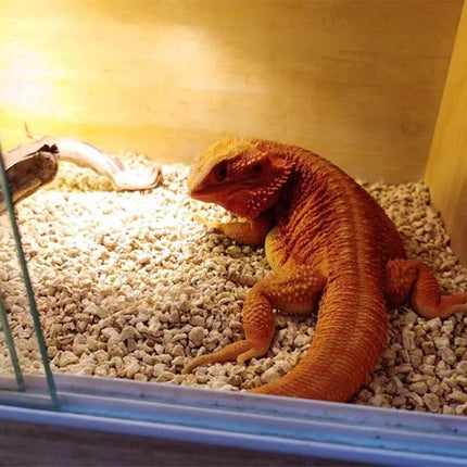 1kg Natural Corn Cob Bedding for Reptiles Small Animal Safe Habitat