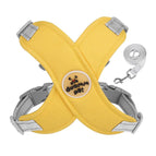 Yellow-S