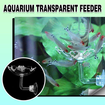 Aquarium Fish Tank Shrimp Food Feeder Clear Glass Feeding Dish Tank Accessory - Aimall