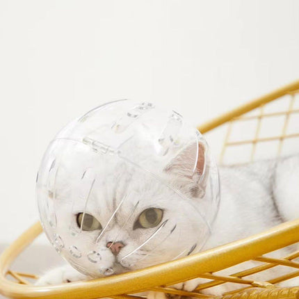 Bite-Resistant Breathable Pet Headcover Helmet for Cat and Dog Protective Use
