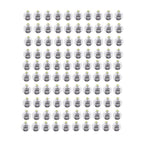100 PCS