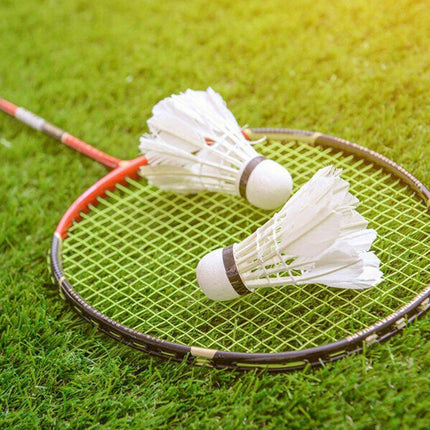 12 Pcs Badminton Shuttlecocks Durable Gooes Feather Badminton Ball For Training