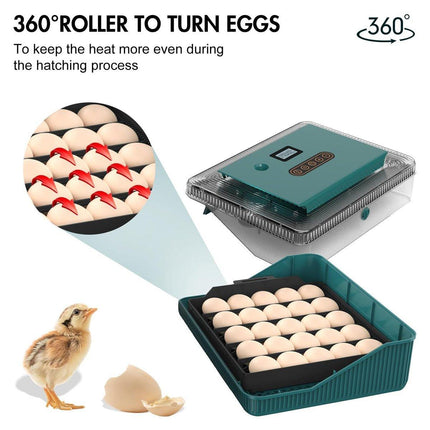 Fully Automatic Egg Incubator New 25 Capacity LED Display for Hen Duck Quail