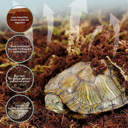 Natural Coconut Fibre Reptile Bedding Brick 650g Substrate for Tortoise Snake Spider