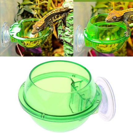 Suction Cup Reptile Feeder Anti-Escape Reptiles Water Bowl Live Fodder Container