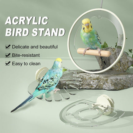 Durable Acrylic Parrot Stand Perch Stick Pole for Bird Cage Play Gym Training