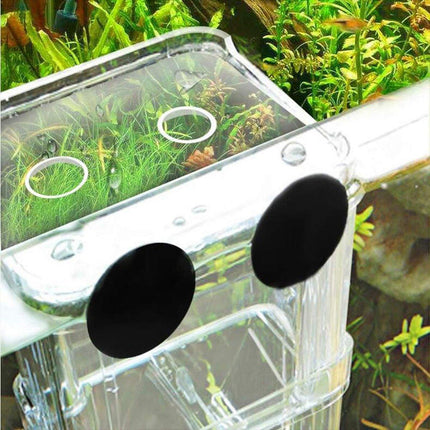 Guppy Breeding Aquarium Fish Tank Hatchery Isolation Breeder Rearing Box - Aimall
