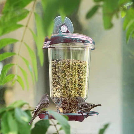Clear Plastic Automatic Bird Feeder Suspended Suction Cup Feeder with Cover