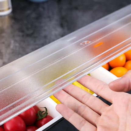 Multi Compartment Fruit Box Food Storage Container for Fresh Fruit Preservation