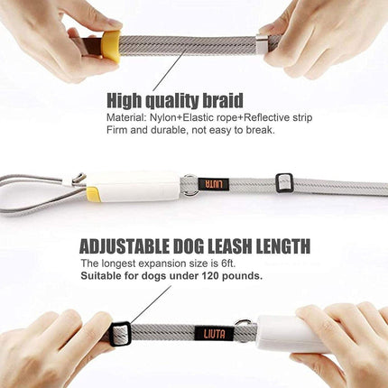 Nylon Leash for Small Medium Dogs Durable Adjustable Walking Lead Strap