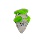 Artificial Floating Stone Pumice with Moss Aquarium Decoration Aquatic Landscape