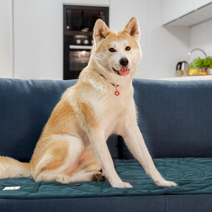 Pet Mat Warm Dog Mat Foldable Storage Kennel Mat Soft Cushion for Pet Bed
