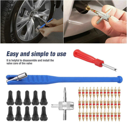 43pcs Car Tyre Valve Stem Puller Set Quick Remover Tire Repair Installation Tool