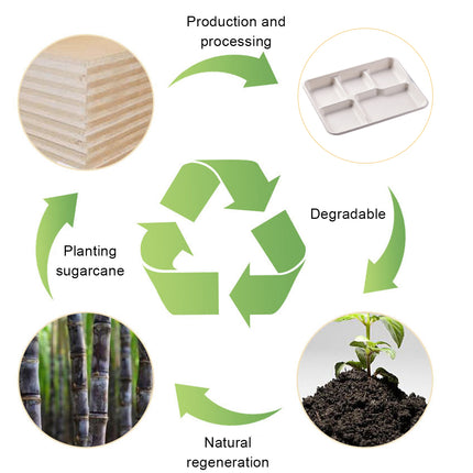 50PCS Disposable Compartmentalized Takeaway Lunch Box Biodegradable 800ml/1200ml