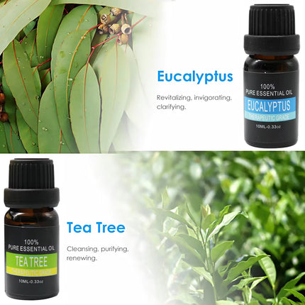 Essential Oil Set 6 Bottles Plant Aromatherapy Oils Natural Scent for Diffuser