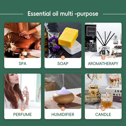 Essential Oil Set 6 Bottles Plant Aromatherapy Oils Natural Scent for Diffuser