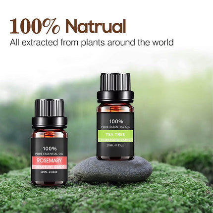 Essential Oil Set 6 Bottles Plant Aromatherapy Oils Natural Scent for Diffuser