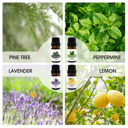 Essential Oil Set 8 Bottles Plant Aromatherapy Oils Natural Fragrance Diffuser