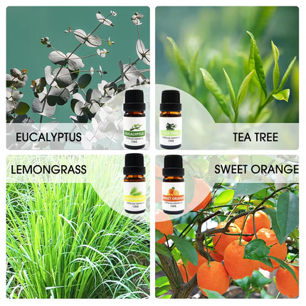 Essential Oil Set 8 Bottles Plant Aromatherapy Oils Natural Fragrance Diffuser
