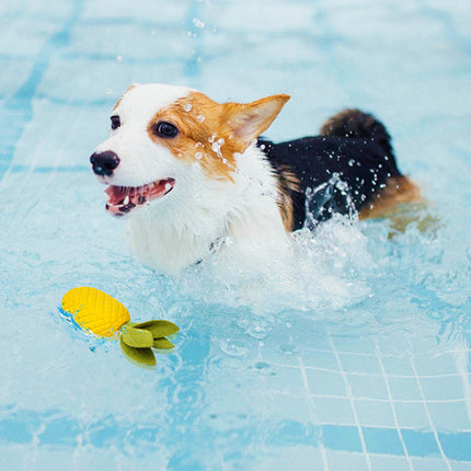 Dog Rubber Pineapple Toy Bite Molar Tooth Interactive Sound Resistant Pet Toy