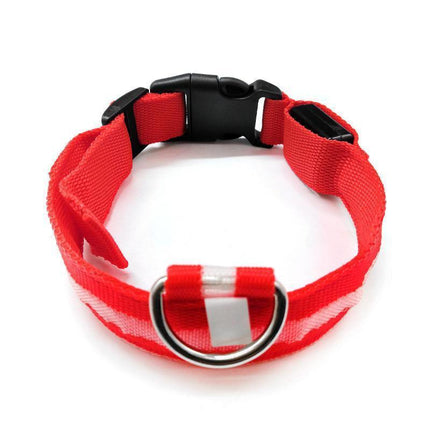 M Size USB Rechargeable LED Dog Collar Nylon Glow Flashing Light Up Safety Pet Collars - Aimall