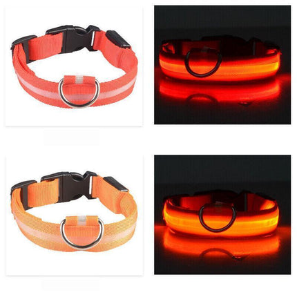 M Size USB Rechargeable LED Dog Collar Nylon Glow Flashing Light Up Safety Pet Collars - Aimall