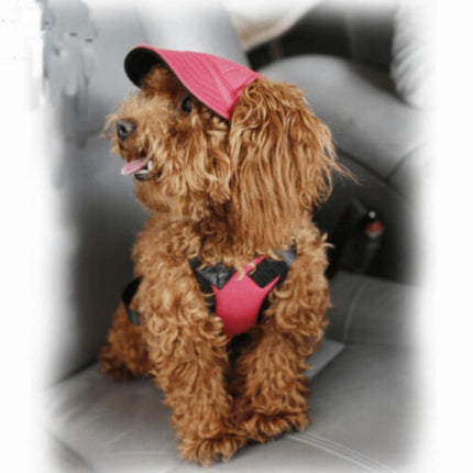 Dog Baseball Cap Outdoor Pet Sun Hat Summer Canvas Visor Puppy L - Aimall