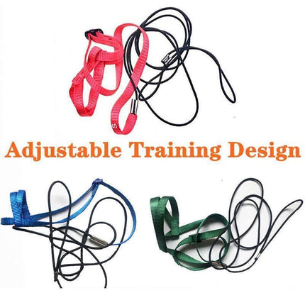 S Pet Parrot Bird Harness Lead Leash Flying Training Rope Cockatiel Outdoor - Aimall