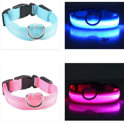 M Size USB Rechargeable LED Dog Collar Nylon Glow Flashing Light Up Safety Pet Collars - Aimall