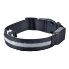 M Size USB Rechargeable LED Dog Collar Nylon Glow Flashing Light Up Safety - Aimall
